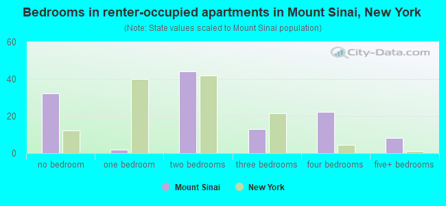 Bedrooms in renter-occupied apartments in Mount Sinai, New York