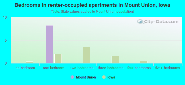 Bedrooms in renter-occupied apartments in Mount Union, Iowa