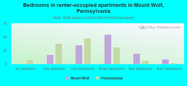 Bedrooms in renter-occupied apartments in Mount Wolf, Pennsylvania