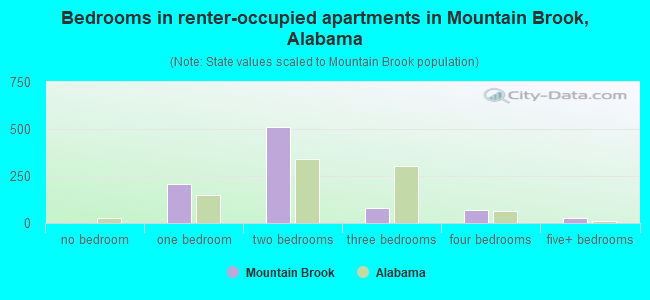 Bedrooms in renter-occupied apartments in Mountain Brook, Alabama