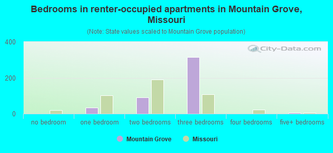 Bedrooms in renter-occupied apartments in Mountain Grove, Missouri