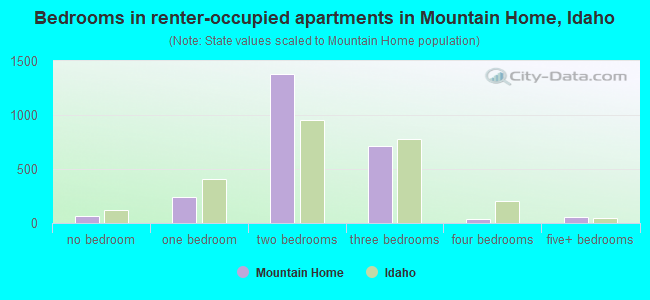 Bedrooms in renter-occupied apartments in Mountain Home, Idaho