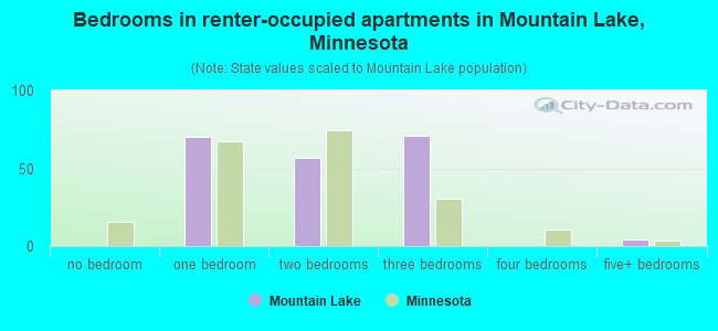 Bedrooms in renter-occupied apartments in Mountain Lake, Minnesota