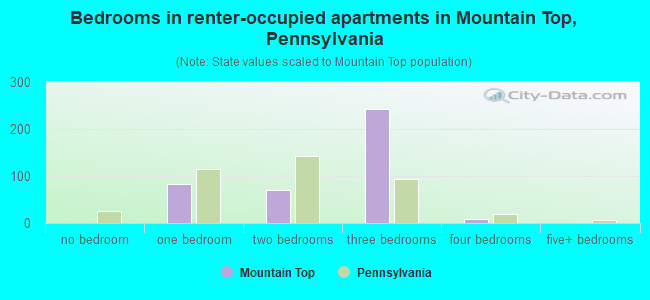 Bedrooms in renter-occupied apartments in Mountain Top, Pennsylvania