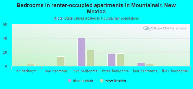 Bedrooms in renter-occupied apartments in Mountainair, New Mexico