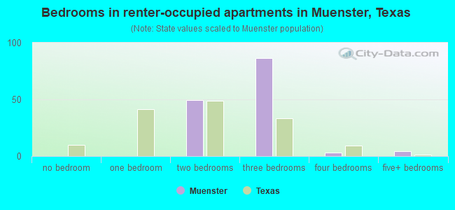 Bedrooms in renter-occupied apartments in Muenster, Texas