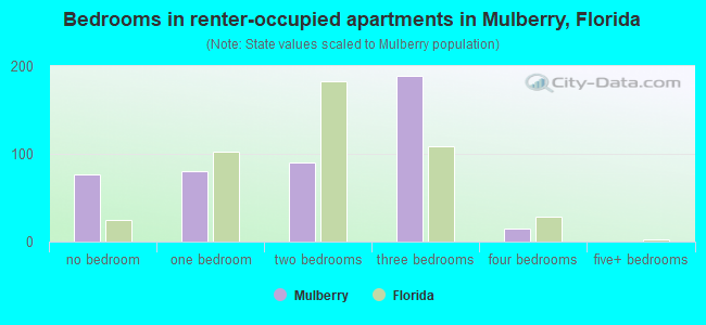 Bedrooms in renter-occupied apartments in Mulberry, Florida