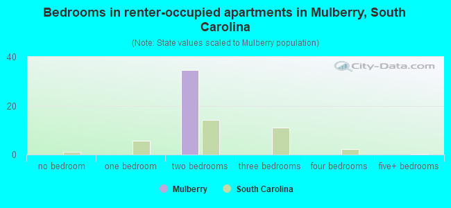 Bedrooms in renter-occupied apartments in Mulberry, South Carolina