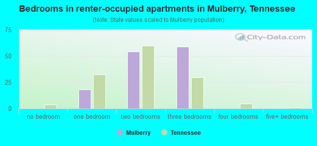 Bedrooms in renter-occupied apartments in Mulberry, Tennessee