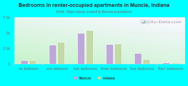 Bedrooms in renter-occupied apartments in Muncie, Indiana