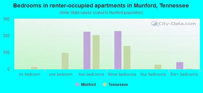 Bedrooms in renter-occupied apartments in Munford, Tennessee