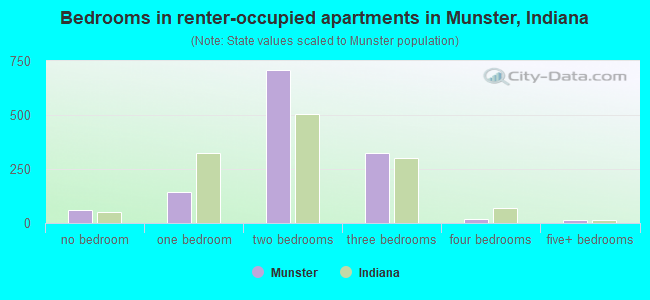 Bedrooms in renter-occupied apartments in Munster, Indiana