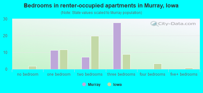 Bedrooms in renter-occupied apartments in Murray, Iowa