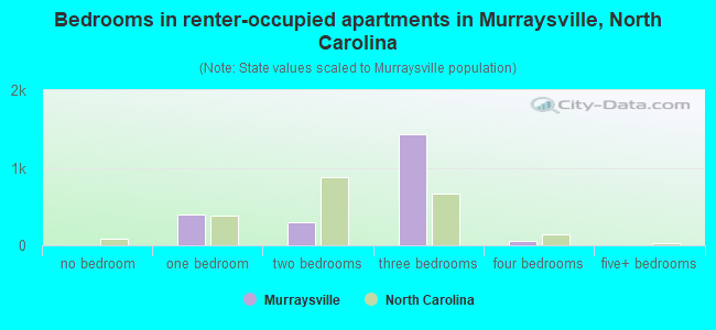 Bedrooms in renter-occupied apartments in Murraysville, North Carolina