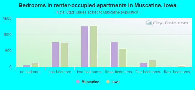 Bedrooms in renter-occupied apartments in Muscatine, Iowa