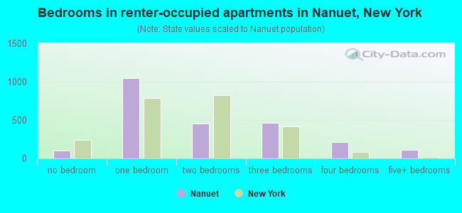 Bedrooms in renter-occupied apartments in Nanuet, New York