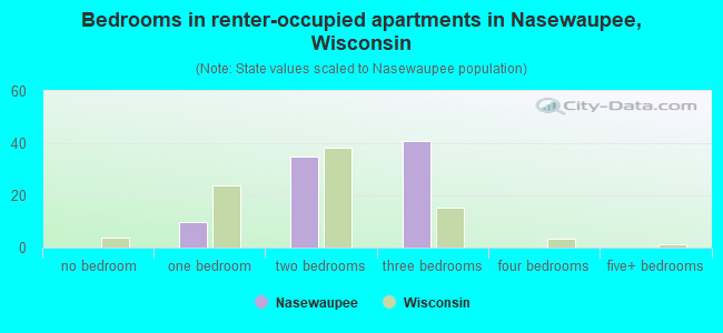 Bedrooms in renter-occupied apartments in Nasewaupee, Wisconsin