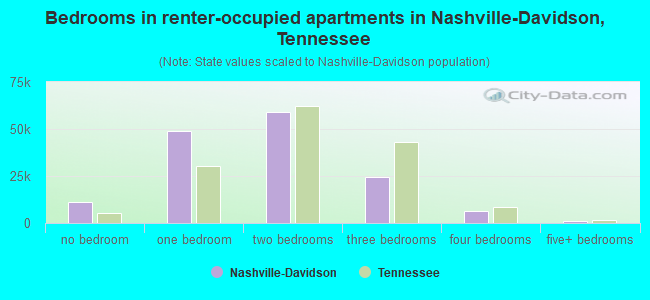 Bedrooms in renter-occupied apartments in Nashville-Davidson, Tennessee