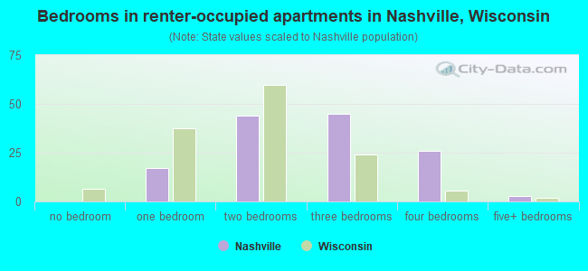 Bedrooms in renter-occupied apartments in Nashville, Wisconsin