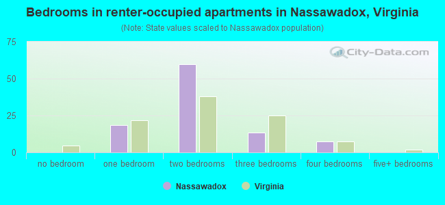 Bedrooms in renter-occupied apartments in Nassawadox, Virginia