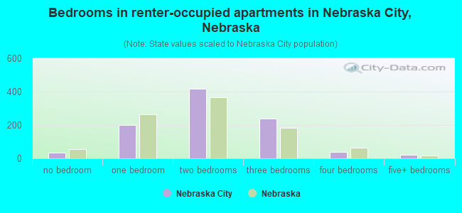 Bedrooms in renter-occupied apartments in Nebraska City, Nebraska