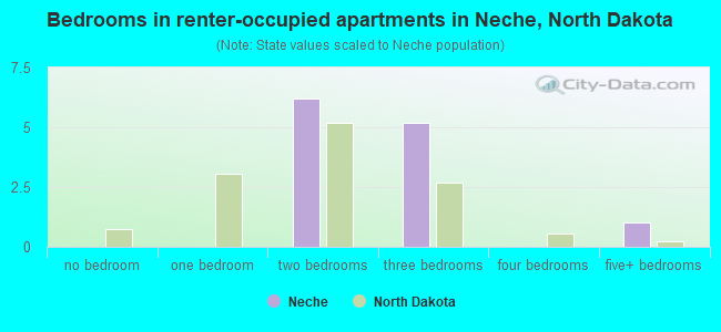 Bedrooms in renter-occupied apartments in Neche, North Dakota