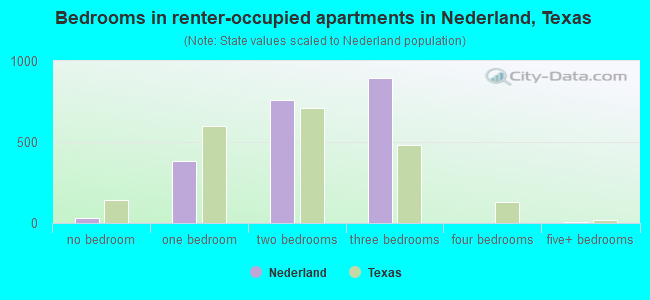 Bedrooms in renter-occupied apartments in Nederland, Texas