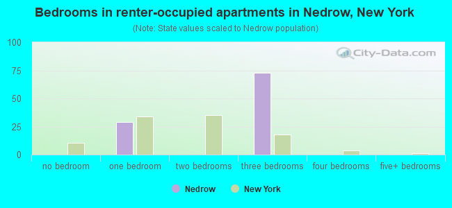Bedrooms in renter-occupied apartments in Nedrow, New York