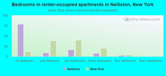 Bedrooms in renter-occupied apartments in Nelliston, New York