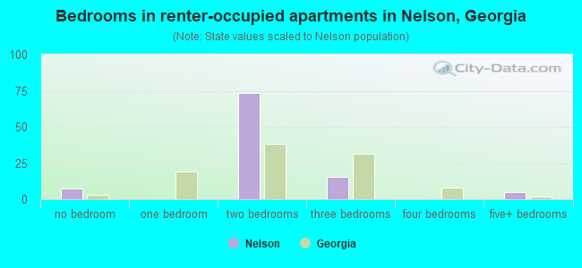 Bedrooms in renter-occupied apartments in Nelson, Georgia