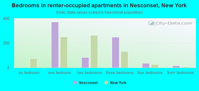 Bedrooms in renter-occupied apartments in Nesconset, New York