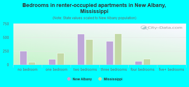 Bedrooms in renter-occupied apartments in New Albany, Mississippi