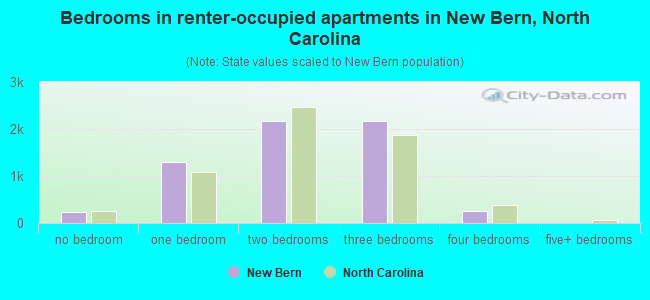 Bedrooms in renter-occupied apartments in New Bern, North Carolina