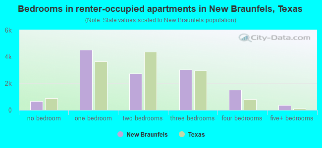 Bedrooms in renter-occupied apartments in New Braunfels, Texas