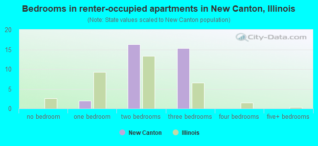 Bedrooms in renter-occupied apartments in New Canton, Illinois