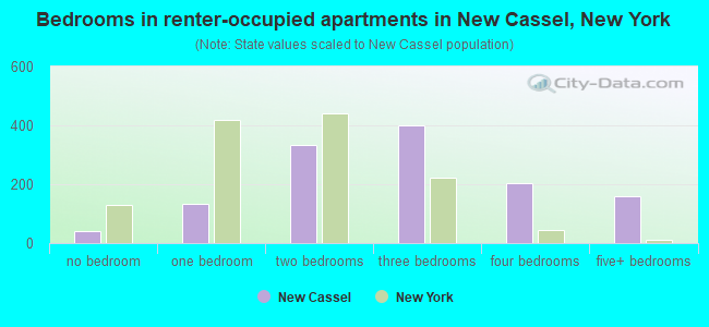Bedrooms in renter-occupied apartments in New Cassel, New York