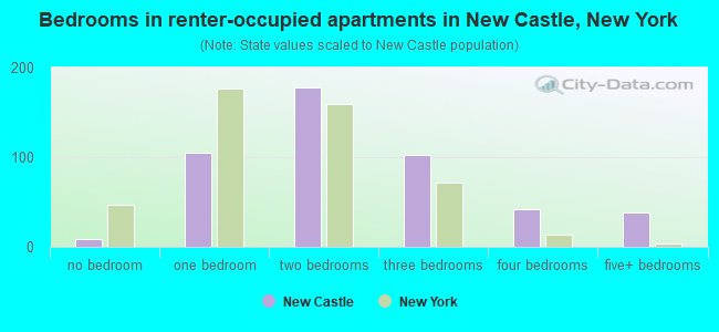 Bedrooms in renter-occupied apartments in New Castle, New York