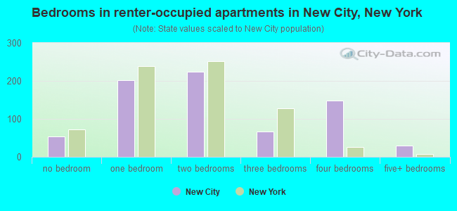 Bedrooms in renter-occupied apartments in New City, New York