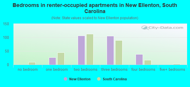 Bedrooms in renter-occupied apartments in New Ellenton, South Carolina