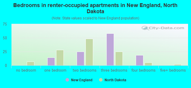 Bedrooms in renter-occupied apartments in New England, North Dakota