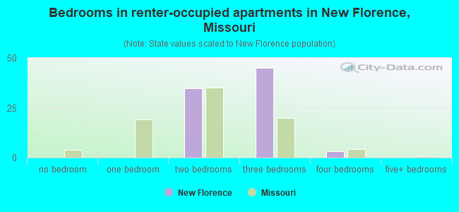 Bedrooms in renter-occupied apartments in New Florence, Missouri