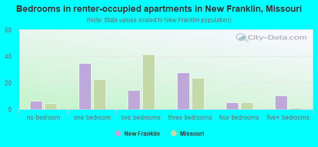 Bedrooms in renter-occupied apartments in New Franklin, Missouri