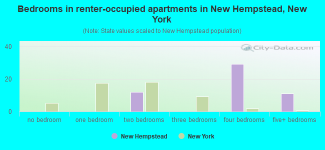 Bedrooms in renter-occupied apartments in New Hempstead, New York