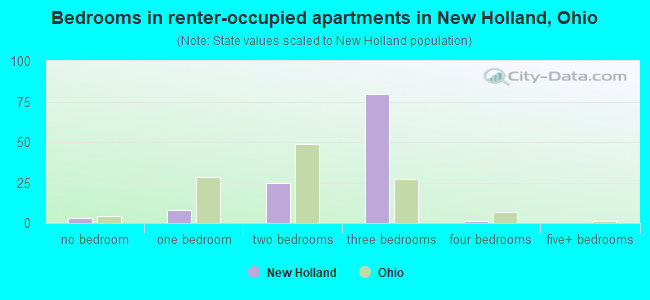 Bedrooms in renter-occupied apartments in New Holland, Ohio