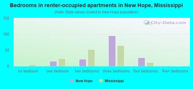Bedrooms in renter-occupied apartments in New Hope, Mississippi