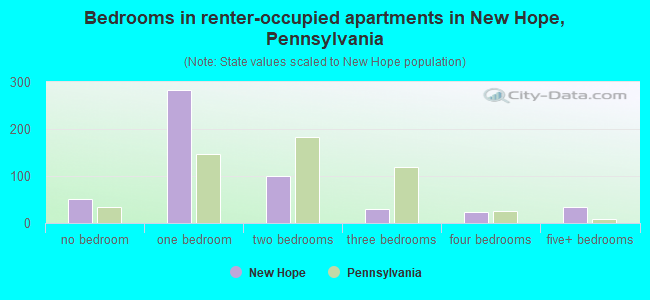 Bedrooms in renter-occupied apartments in New Hope, Pennsylvania
