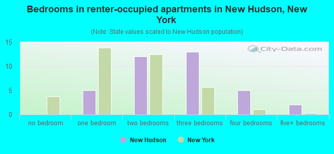 Bedrooms in renter-occupied apartments in New Hudson, New York