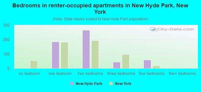 Bedrooms in renter-occupied apartments in New Hyde Park, New York