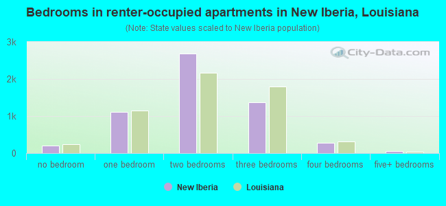Bedrooms in renter-occupied apartments in New Iberia, Louisiana