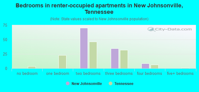 Bedrooms in renter-occupied apartments in New Johnsonville, Tennessee